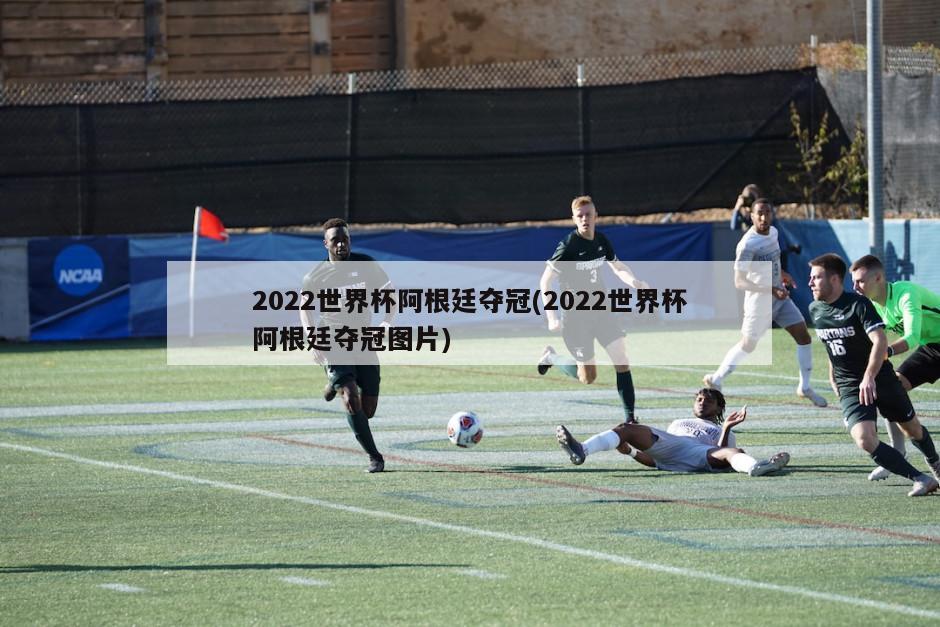 2022世界杯阿根廷夺冠(2022世界杯阿根廷夺冠图片)