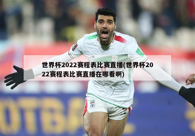 世界杯2022赛程表比赛直播(世界杯2022赛程表比赛直播在哪看啊)