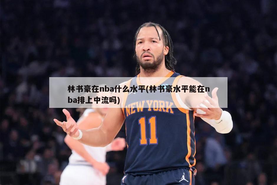 林书豪在nba什么水平(林书豪水平能在nba排上中流吗)