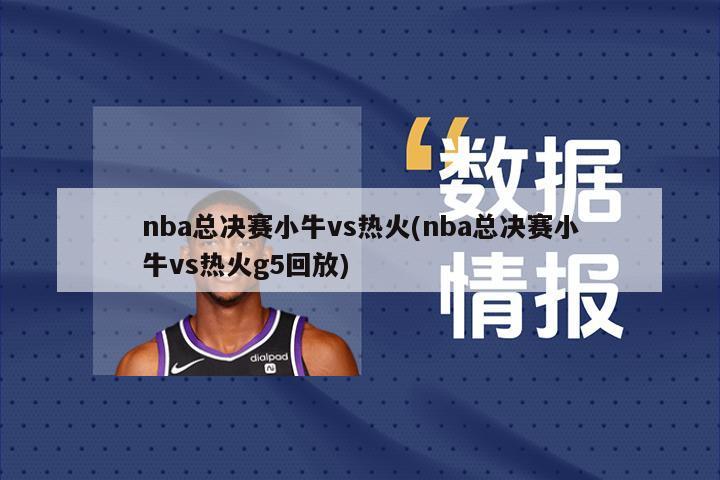 nba总决赛小牛vs热火(nba总决赛小牛vs热火g5回放)