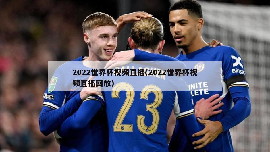 2022世界杯视频直播(2022世界杯视频直播回放)