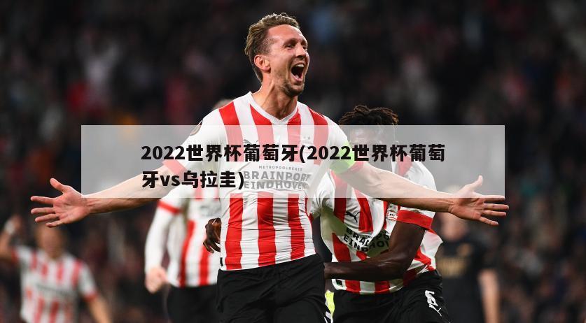 2022世界杯葡萄牙(2022世界杯葡萄牙vs乌拉圭)