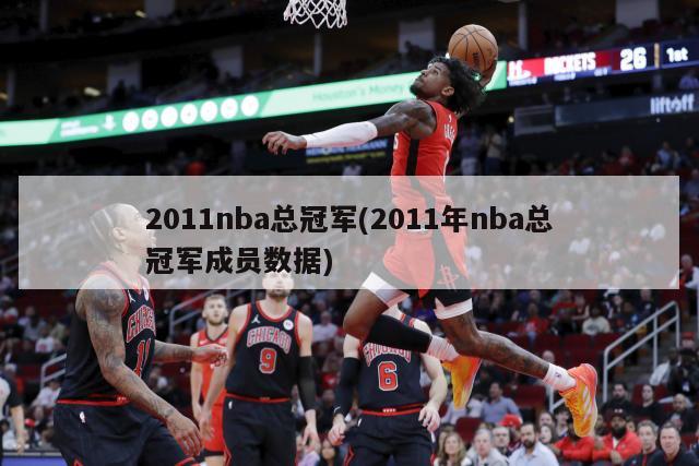 2011nba总冠军(2011年nba总冠军成员数据)